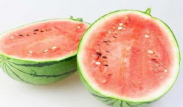 a718sx吃瓜爆料,揭秘娱乐圈幕后真相